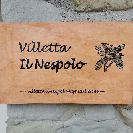 باربيرينو دي موجيلو Villetta Il Nespolo المظهر الخارجي الصورة