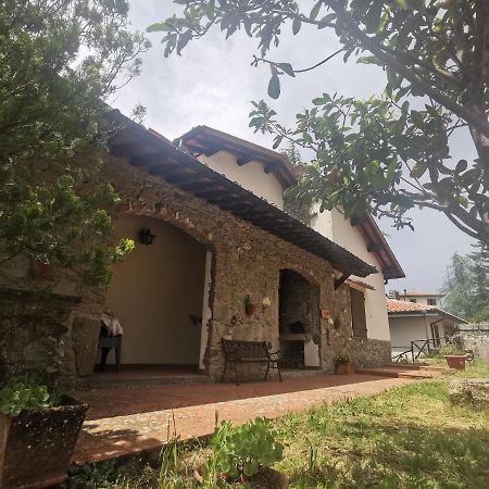 باربيرينو دي موجيلو Villetta Il Nespolo المظهر الخارجي الصورة