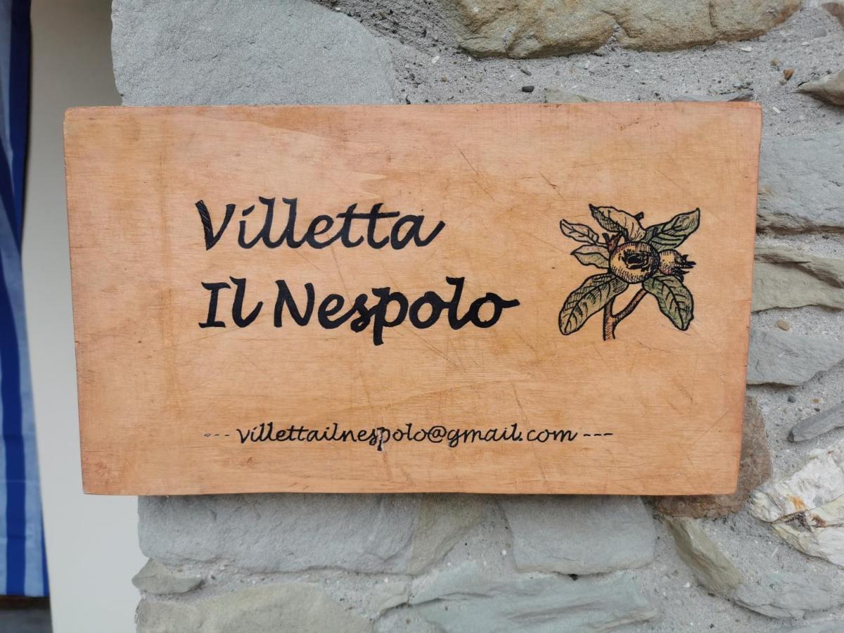 باربيرينو دي موجيلو Villetta Il Nespolo المظهر الخارجي الصورة
