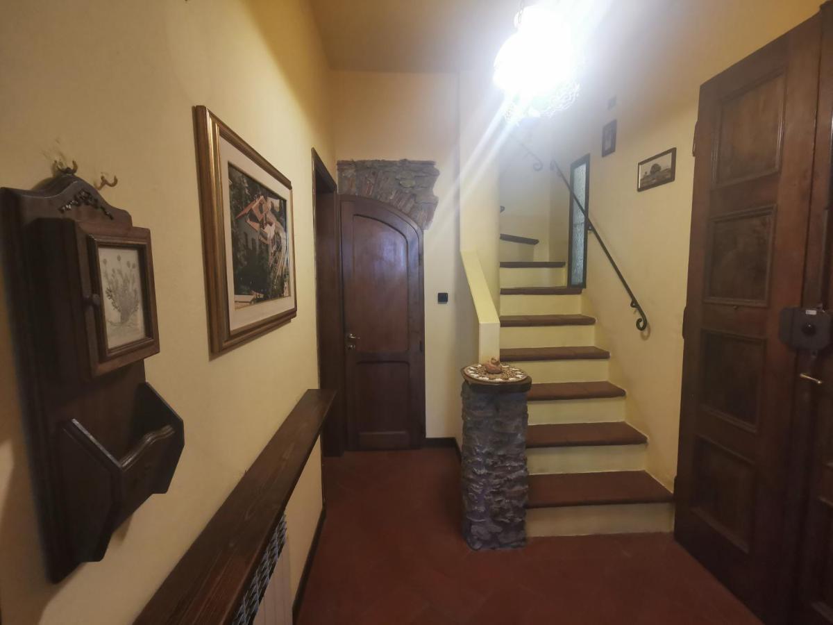باربيرينو دي موجيلو Villetta Il Nespolo المظهر الخارجي الصورة